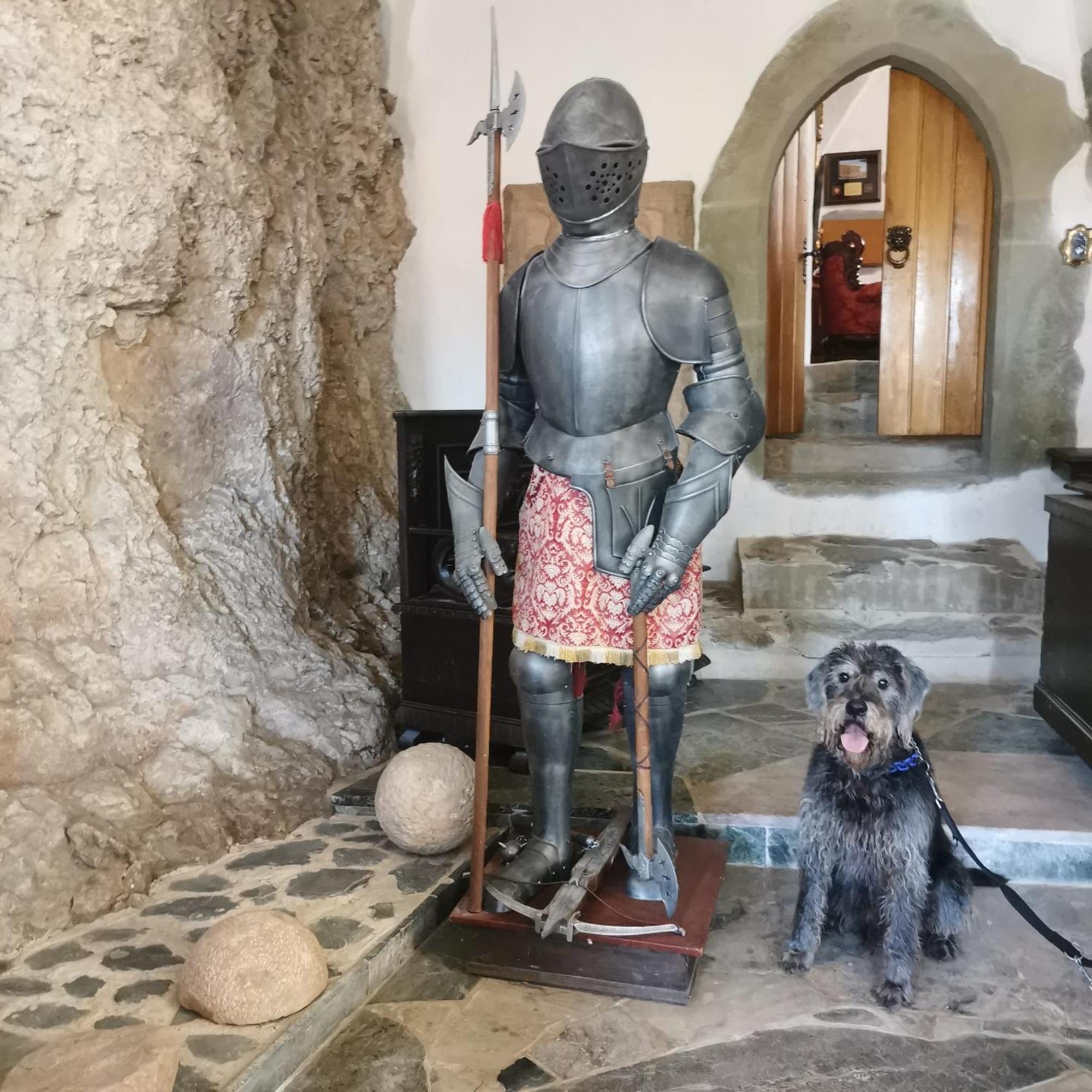 Burg Hermannstein - Monks Room Βέτσλαρ Εξωτερικό φωτογραφία